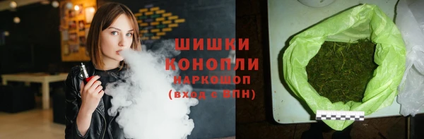 гидра Надым