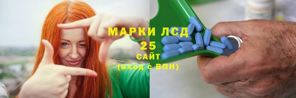 гидра Надым