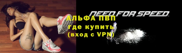 гидра Надым