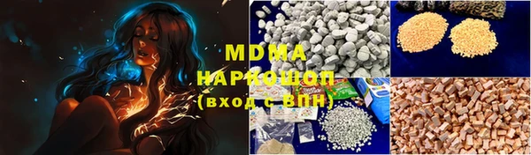 гидра Надым