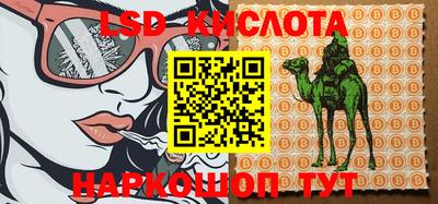 трава Будённовск