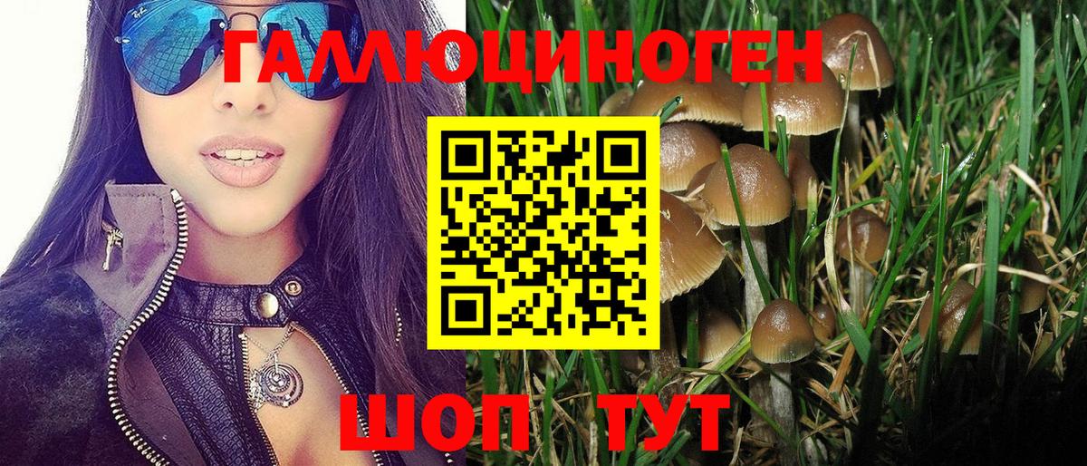 купить наркотик  Сарапул  Галлюциногенные грибы мухоморы 
