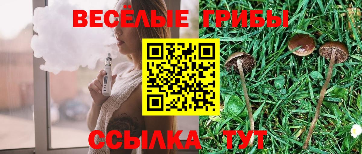 Сарапул  Псилоцибиновые грибы GOLDEN TEACHER  Вход с VPN 