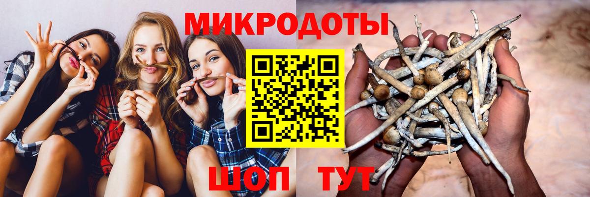 Псилоцибиновые грибы прущие грибы Сарапул