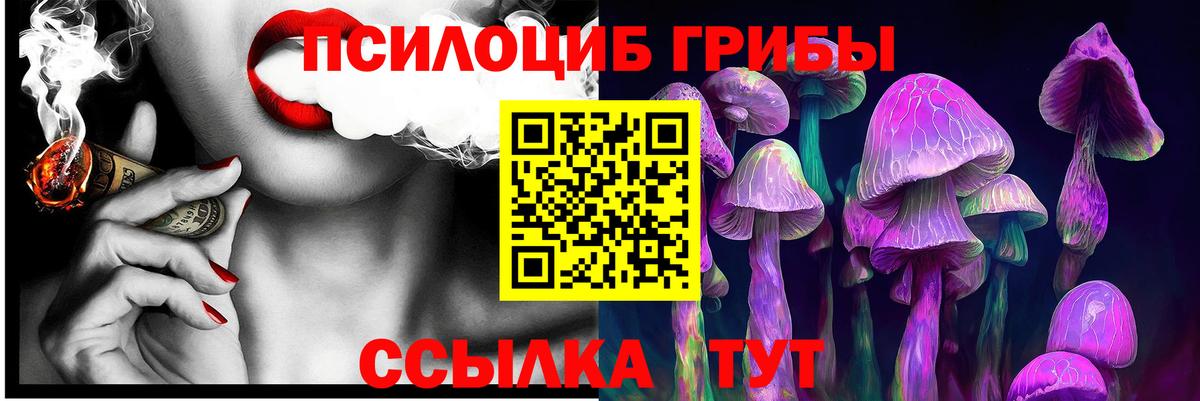 Псилоцибиновые грибы Cubensis Сарапул